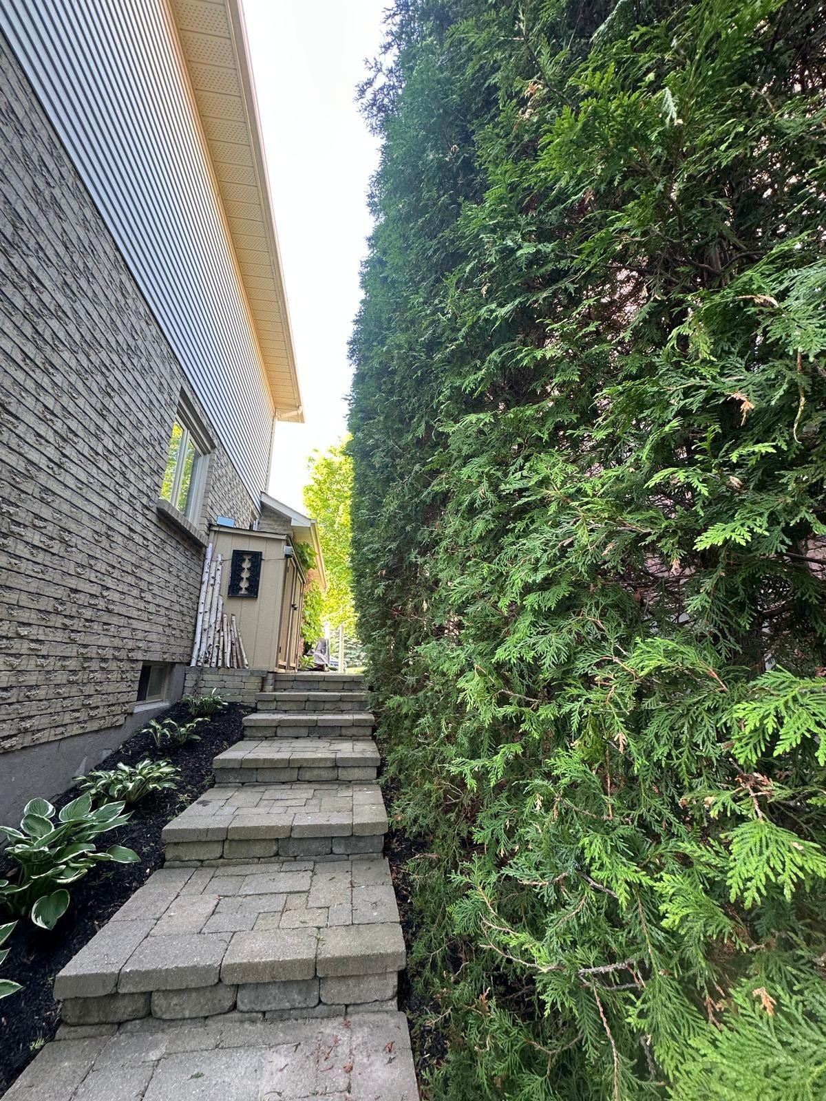 Prunning